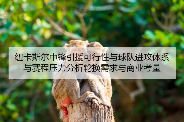 niu-ka-si-er-zhong-feng-yin-yuan-ke-xing-xing-yu-qiu-dui-jin-gong-ti-xi-yu-sai-cheng-ya-li-fen-xi-lun-huan-xu-qiu-yu-2-491.jpg