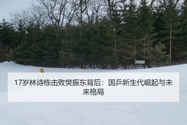 17岁林诗栋击败樊振东背后：国乒新生代崛起与未来格局